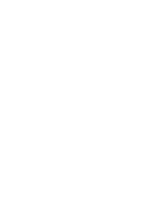 LAN + WiFi